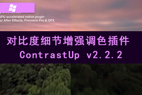 对比度细节增强调色插件 ContrastUp v2.2.2 Win中文汉化破解版