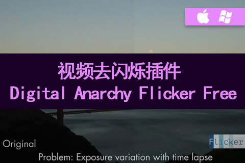 视频去闪烁插件 Digital Anarchy Flicker Free v1.1.6 CE