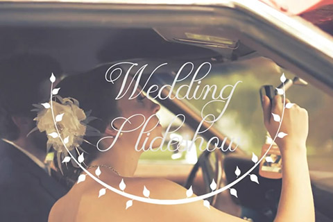 时尚唯美浪漫高端的婚礼字幕文字视频模板