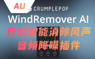 自动智能消除风声音频降噪插件WindRemover AI of Mac 中文版