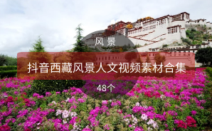 抖音西藏风景人文视频素材合集