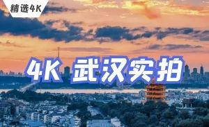 4K武汉黄鹤楼 长江大桥实拍视频素材