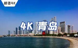 4K青岛栈桥 五四广场 滨海步行道实拍视频素材