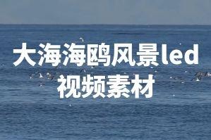 蓝天白云大海沙滩海鸥海上日出 led大屏幕视频背景素材