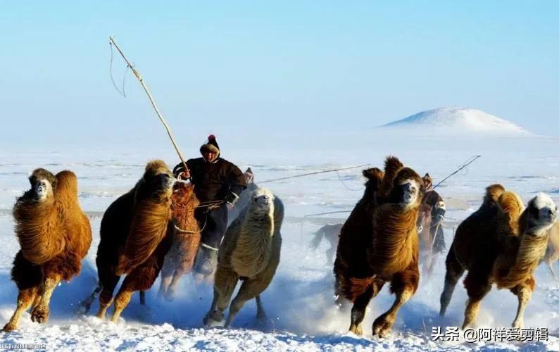 蒙古族游牧民俗