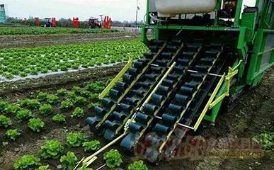 无论你种什么蔬菜，老农民都会教你准备两种通用肥料